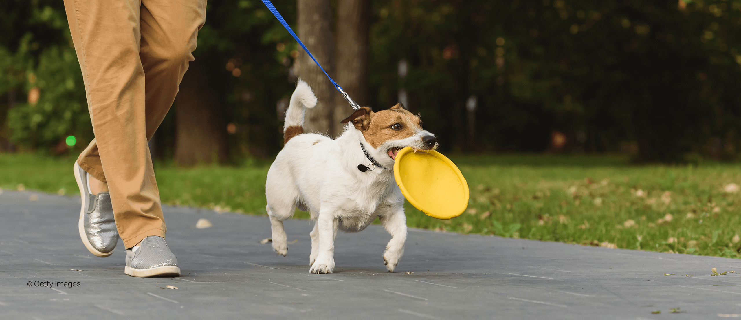 Fit mit Hund Shoelove by Deichmann