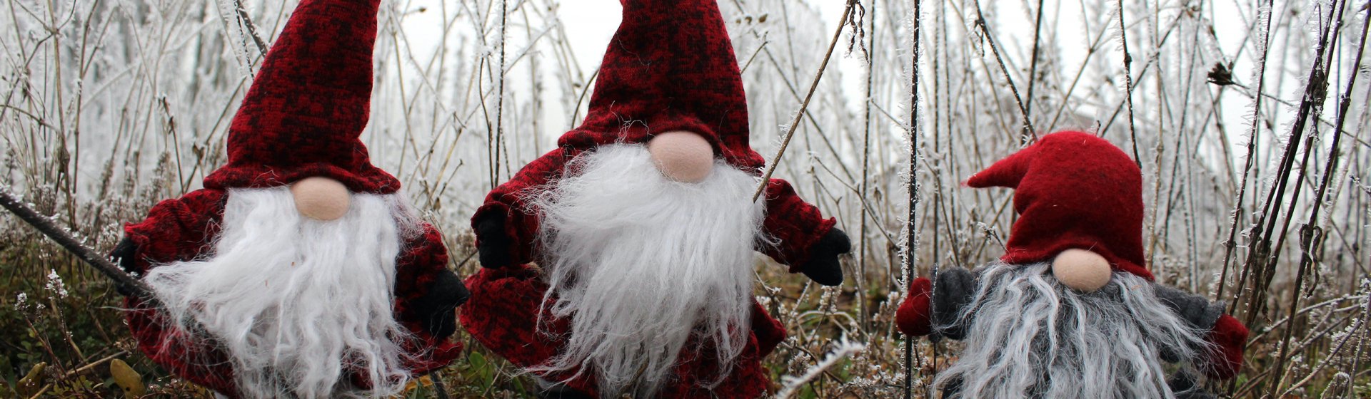 Weihnachtsmann-im-Wald