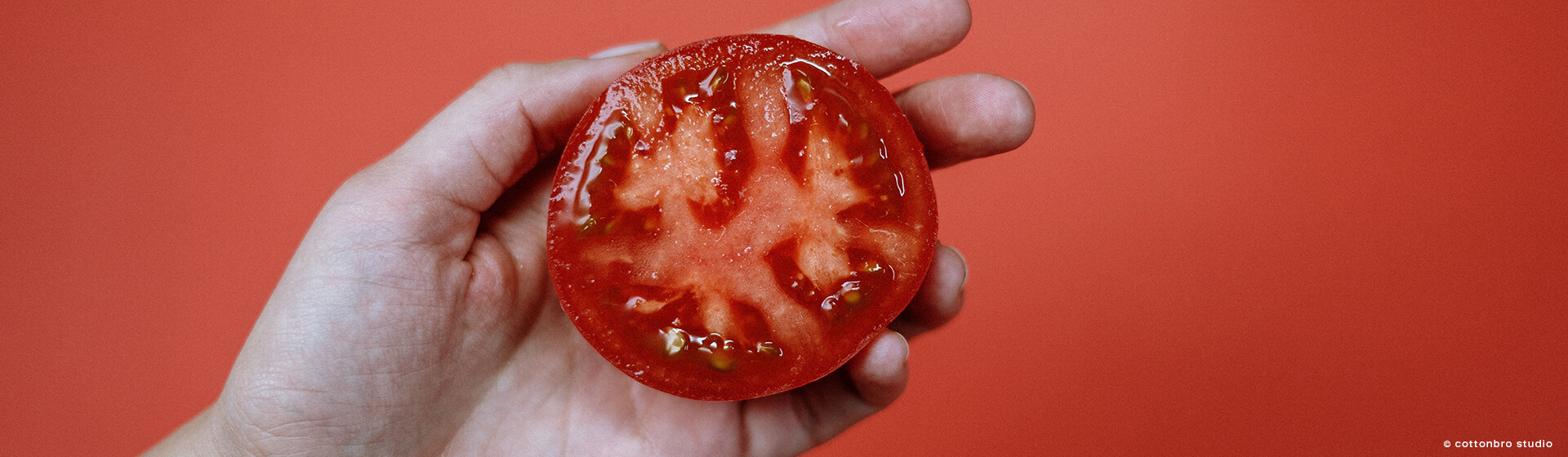 Tomate-in-Hand