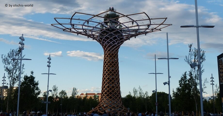 The Tree of Life - EXPO 2015 in Mailand